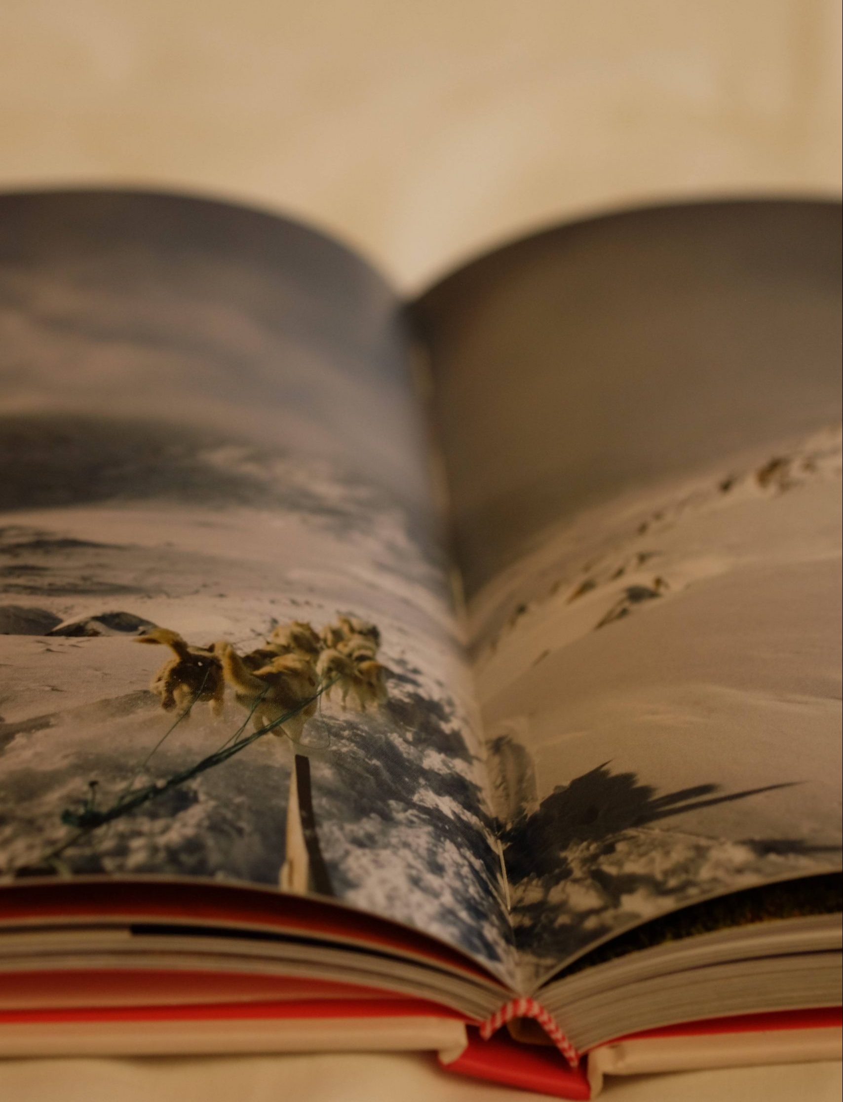 libro