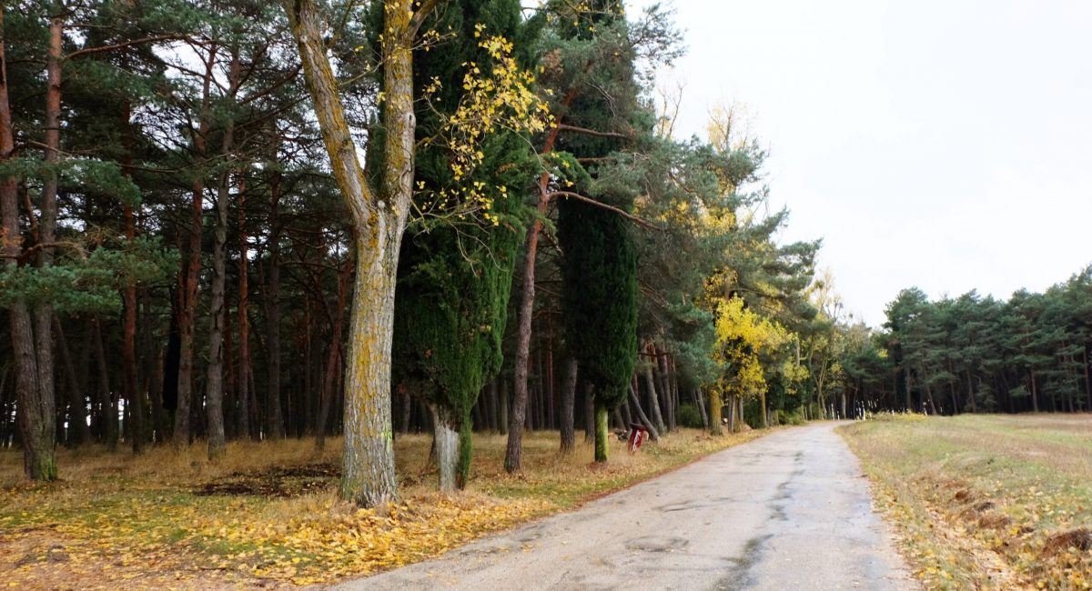 Post de cumpleaños en el parque de Fuentes Blancas, en Burgos